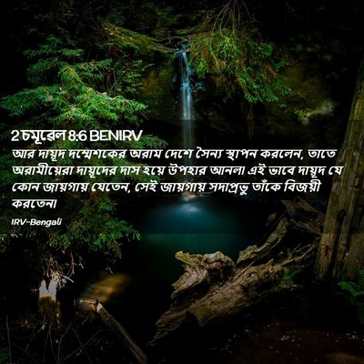 Picture 02 - 2 চমূৱেল 8:6 BENIRV - আর দায়ূদ - Bible Verse Picture