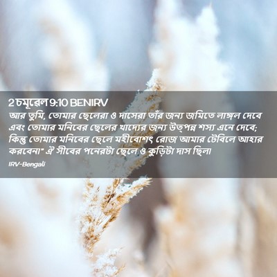 Picture 02 - 2 চমূৱেল 9:10 BENIRV - আর তুমি, তোমার - Bible Verse Picture