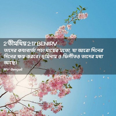 Picture 02 - 2 তীমথিয় 2:17 BENIRV - তাদের কথাবার্তা - Bible Verse Picture