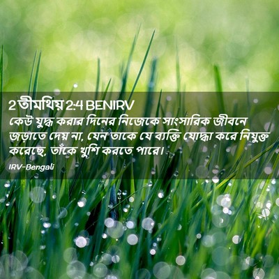 Picture 02 - 2 তীমথিয় 2:4 BENIRV - কেউ যুদ্ধ করার - Bible Verse Picture
