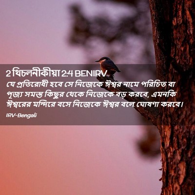 Picture 02 - 2 থিচলনীকীয়া 2:4 BENIRV - যে প্রতিরোধী হবে - Bible Verse Picture