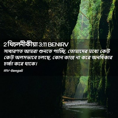 Picture 02 - 2 থিচলনীকীয়া 3:11 BENIRV - সাধারণত আমরা - Bible Verse Picture