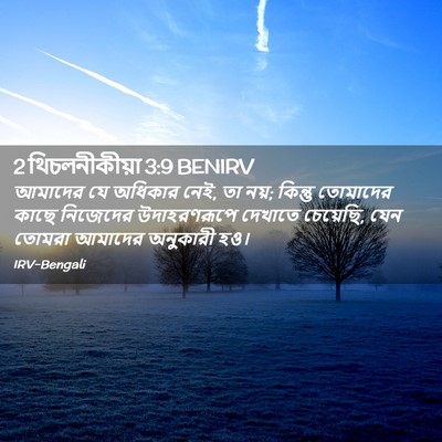 Picture 02 - 2 থিচলনীকীয়া 3:9 BENIRV - আমাদের যে অধিকার - Bible Verse Picture