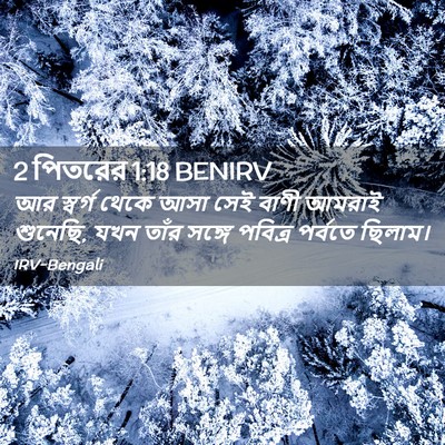 Picture 02 - 2 পিতরের 1:18 BENIRV - আর স্বর্গ থেকে আসা - Bible Verse Picture