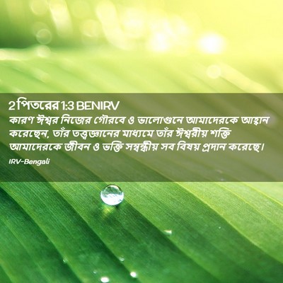 Picture 02 - 2 পিতরের 1:3 BENIRV - কারণ ঈশ্বর নিজের - Bible Verse Picture