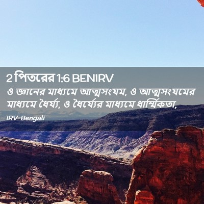 Picture 02 - 2 পিতরের 1:6 BENIRV - ও জ্ঞানের মাধ্যমে - Bible Verse Picture