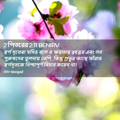 Picture 02 - 2 পিতরের 2:11 BENIRV - স্বর্গ দূতেরা - Bible Verse Picture