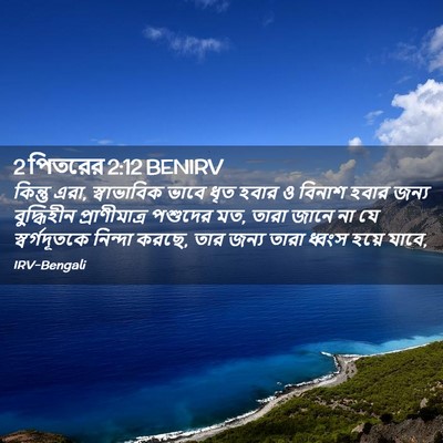 Picture 02 - 2 পিতরের 2:12 BENIRV - কিন্তু এরা, - Bible Verse Picture