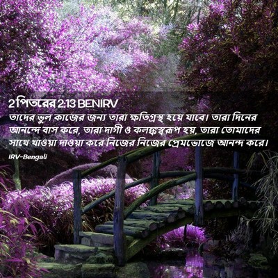 Picture 02 - 2 পিতরের 2:13 BENIRV - তাদের ভুল কাজের - Bible Verse Picture