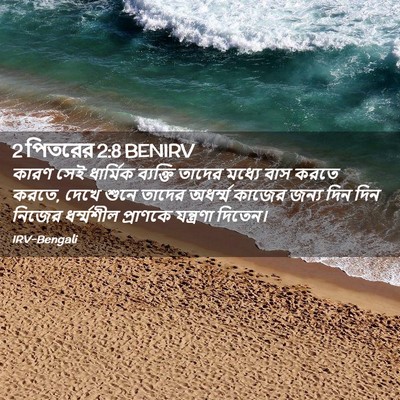 Picture 02 - 2 পিতরের 2:8 BENIRV - কারণ সেই ধার্মিক - Bible Verse Picture
