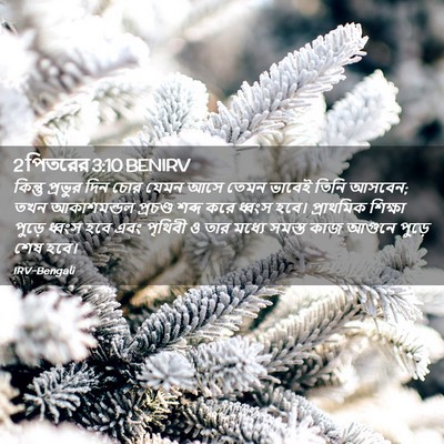 Picture 02 - 2 পিতরের 3:10 BENIRV - কিন্তু প্রভুর দিন - Bible Verse Picture