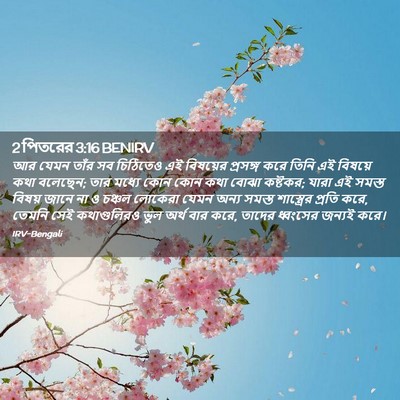 Picture 02 - 2 পিতরের 3:16 BENIRV - আর যেমন তাঁর সব - Bible Verse Picture