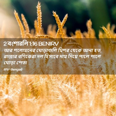Picture 02 - 2 বংশাৱলি 1:16 BENIRV - আর শলোমনের - Bible Verse Picture