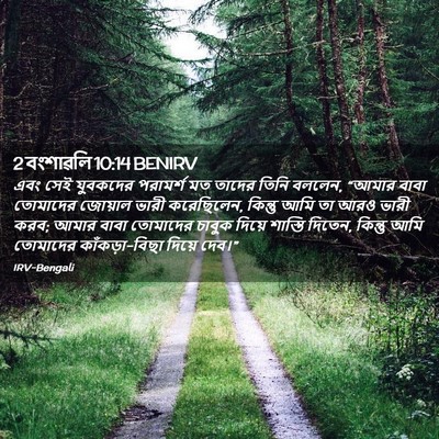 Picture 02 - 2 বংশাৱলি 10:14 BENIRV - এবং সেই যুবকদের - Bible Verse Picture