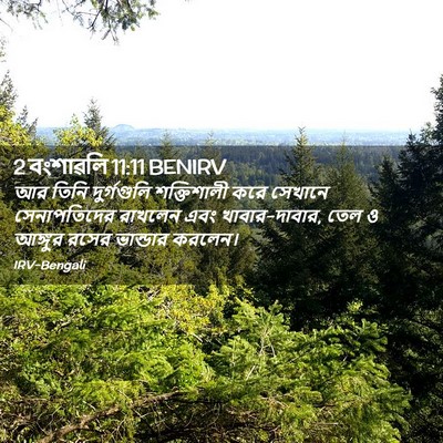 Picture 02 - 2 বংশাৱলি 11:11 BENIRV - আর তিনি দুর্গগুলি - Bible Verse Picture