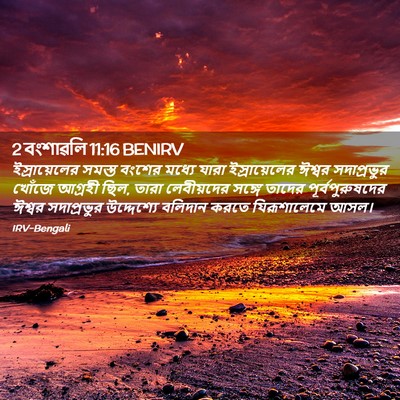 Picture 02 - 2 বংশাৱলি 11:16 BENIRV - ইস্রায়েলের সমস্ত - Bible Verse Picture