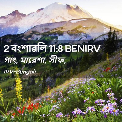 Picture 02 - 2 বংশাৱলি 11:8 BENIRV - গাৎ, মারেশা, - Bible Verse Picture