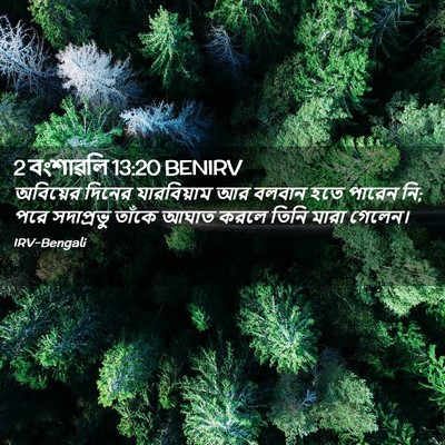 Picture 02 - 2 বংশাৱলি 13:20 BENIRV - অবিয়ের দিনের - Bible Verse Picture