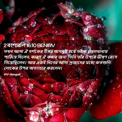 Picture 02 - 2 বংশাৱলি 16:10 BENIRV - তখন আসা ঐ দর্শকের - Bible Verse Picture