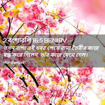 Picture 02 - 2 বংশাৱলি 16:5 BENIRV - তখন বাশা এই খবর - Bible Verse Picture