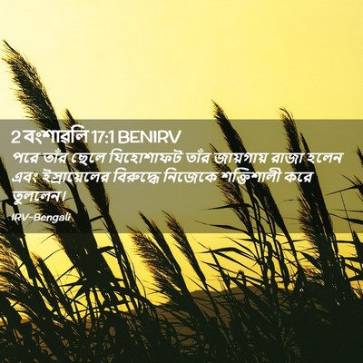 Picture 02 - 2 বংশাৱলি 17:1 BENIRV - পরে তাঁর ছেলে - Bible Verse Picture
