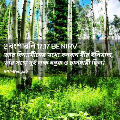 Picture 02 - 2 বংশাৱলি 17:17 BENIRV - আর বিন্যামীনের - Bible Verse Picture