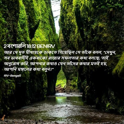 Picture 02 - 2 বংশাৱলি 18:12 BENIRV - আর যে দূত মীখায়কে - Bible Verse Picture