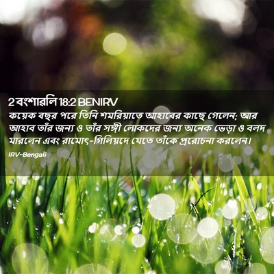 Picture 02 - 2 বংশাৱলি 18:2 BENIRV - কয়েক বছর পরে তিনি - Bible Verse Picture