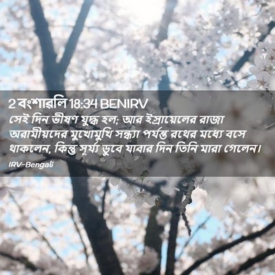 Picture 02 - 2 বংশাৱলি 18:34 BENIRV - সেই দিন ভীষণ যুদ্ধ - Bible Verse Picture