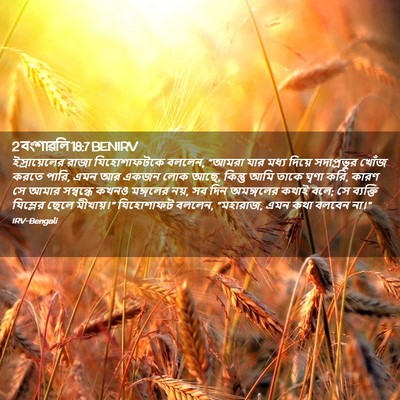Picture 02 - 2 বংশাৱলি 18:7 BENIRV - ইস্রায়েলের রাজা - Bible Verse Picture