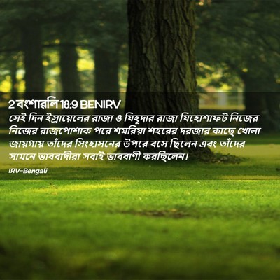 Picture 02 - 2 বংশাৱলি 18:9 BENIRV - সেই দিন - Bible Verse Picture