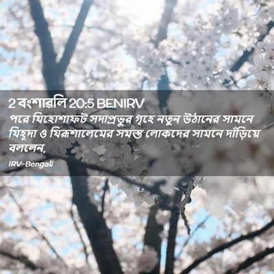 Picture 02 - 2 বংশাৱলি 20:5 BENIRV - পরে যিহোশাফট - Bible Verse Picture