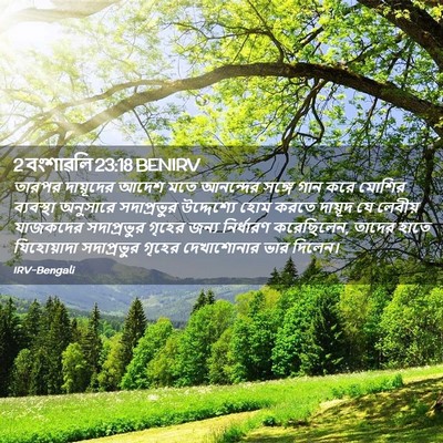 Picture 02 - 2 বংশাৱলি 23:18 BENIRV - তারপর দায়ূদের - Bible Verse Picture