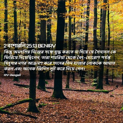 Picture 02 - 2 বংশাৱলি 25:13 BENIRV - কিন্তু অমৎসিয় - Bible Verse Picture