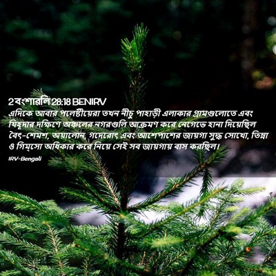 Picture 02 - 2 বংশাৱলি 28:18 BENIRV - এদিকে আবার - Bible Verse Picture