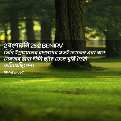 Picture 02 - 2 বংশাৱলি 28:2 BENIRV - তিনি ইস্রায়েলের - Bible Verse Picture