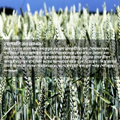 Picture 02 - 2 বংশাৱলি 28:9 BENIRV - কিন্তু সেখানে - Bible Verse Picture