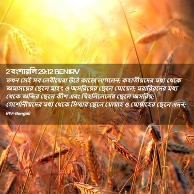 Picture 02 - 2 বংশাৱলি 29:12 BENIRV - তখন সেই সব - Bible Verse Picture