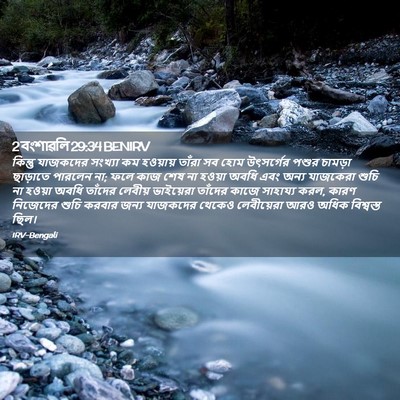 Picture 02 - 2 বংশাৱলি 29:34 BENIRV - কিন্তু যাজকদের - Bible Verse Picture