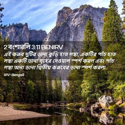 Picture 02 - 2 বংশাৱলি 3:11 BENIRV - এই করূব দুটির ডানা - Bible Verse Picture