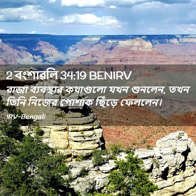 Picture 02 - 2 বংশাৱলি 34:19 BENIRV - রাজা ব্যবস্থার - Bible Verse Picture