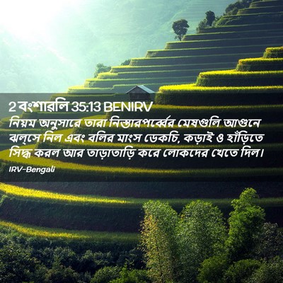 Picture 02 - 2 বংশাৱলি 35:13 BENIRV - নিয়ম অনুসারে - Bible Verse Picture
