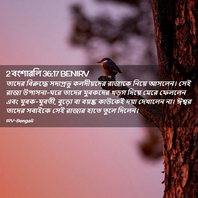 Picture 02 - 2 বংশাৱলি 36:17 BENIRV - তাদের বিরুদ্ধে - Bible Verse Picture