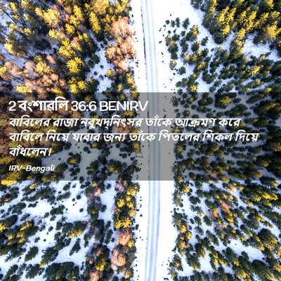 Picture 02 - 2 বংশাৱলি 36:6 BENIRV - বাবিলের রাজা - Bible Verse Picture