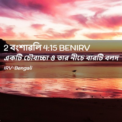 Picture 02 - 2 বংশাৱলি 4:15 BENIRV - একটি চৌবাচ্চা ও - Bible Verse Picture