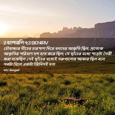 Picture 02 - 2 বংশাৱলি 4:3 BENIRV - চৌবাচ্চার নীচের - Bible Verse Picture