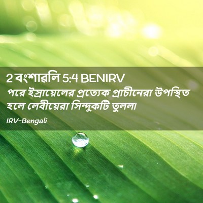 Picture 02 - 2 বংশাৱলি 5:4 BENIRV - পরে ইস্রায়েলের - Bible Verse Picture