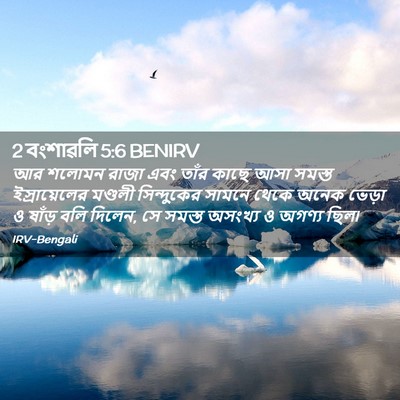Picture 02 - 2 বংশাৱলি 5:6 BENIRV - আর শলোমন রাজা এবং - Bible Verse Picture