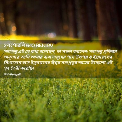 Picture 02 - 2 বংশাৱলি 6:10 BENIRV - সদাপ্রভু এই যে কথা - Bible Verse Picture