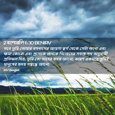 Picture 02 - 2 বংশাৱলি 6:30 BENIRV - তবে তুমি তোমার - Bible Verse Picture